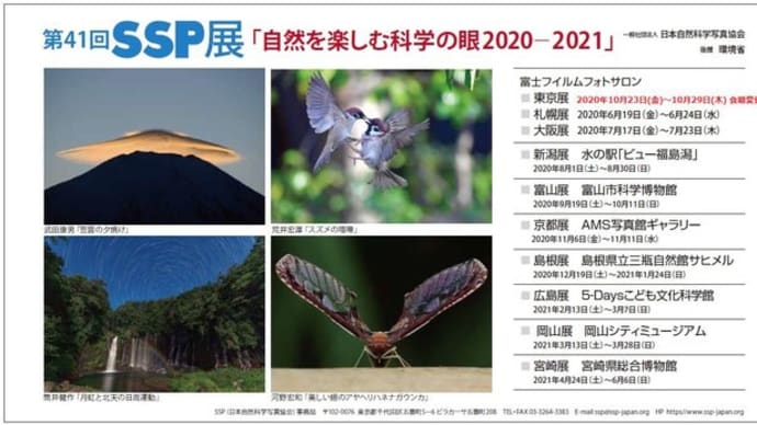 日本自然科学写真協会 SSP展