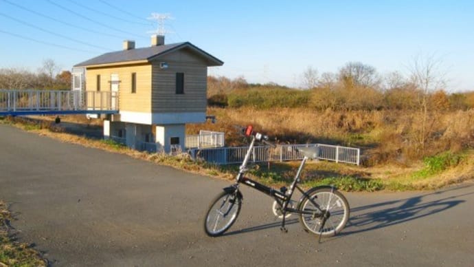 ふたたび・・・高麗川・浅羽ビオトープってご存知ですか