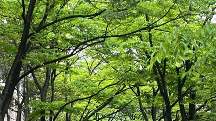 昨日は、検診だった。