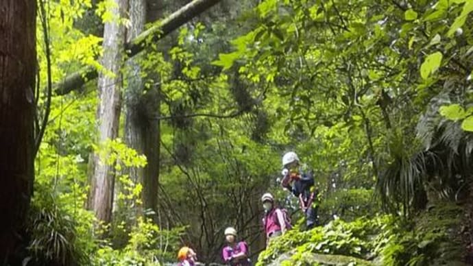 「沢登りレベルアップコース、滝畑ダムから上山谷」ツアー参加者募集!!