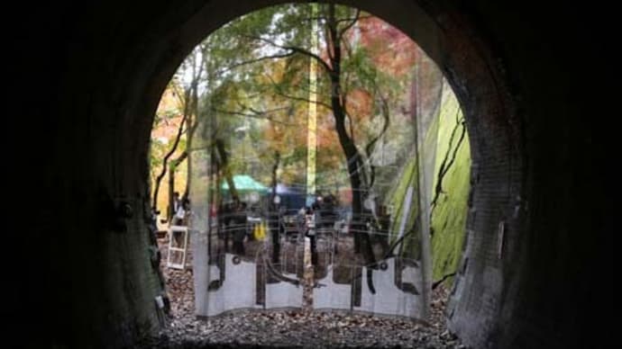 愛岐トンネル群の紅葉
