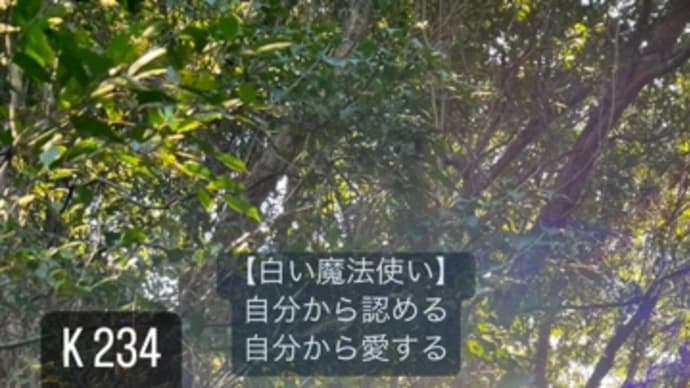 〜 K 235 青い鷲・青い鷲・音1〜 「白い風」12日目のギフトと蟹座の満月
