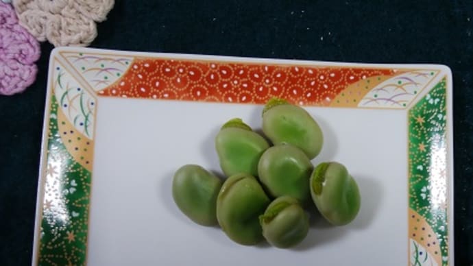 ソラマメを収穫～～！