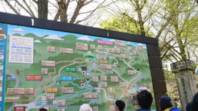 高尾山ハイキング