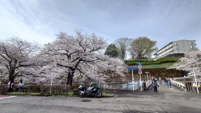 花見のあとの箱根大観山ツーリング
