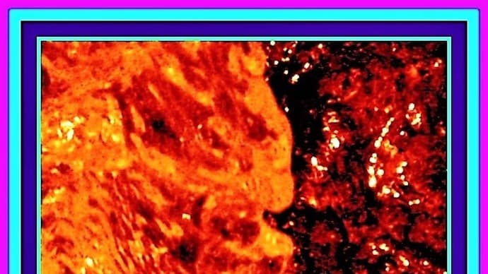 🐉🌈〖日蓮大聖人〗由来の清流に【🔥不動明王様🔥】出現❢❢