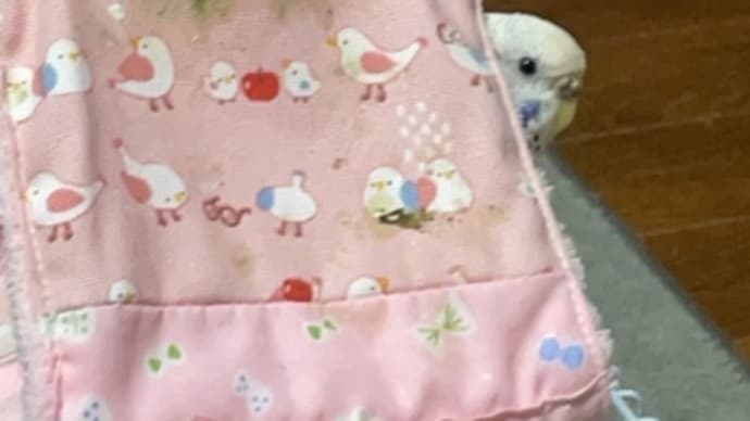 胃カメラ