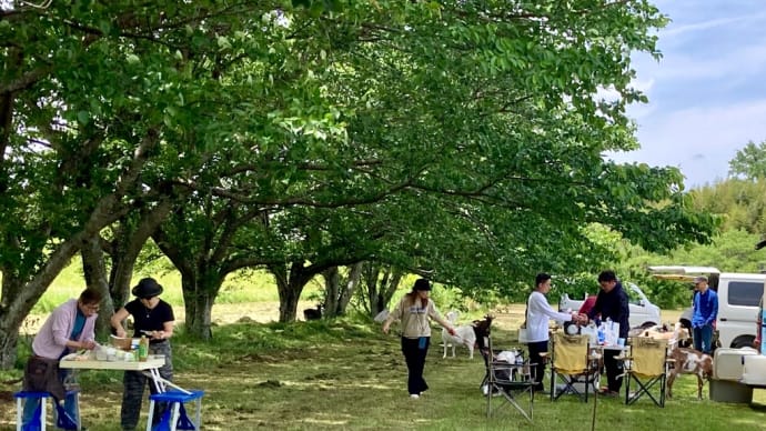 2025/5/11 2025新城春のオフ会...いつもの河原2