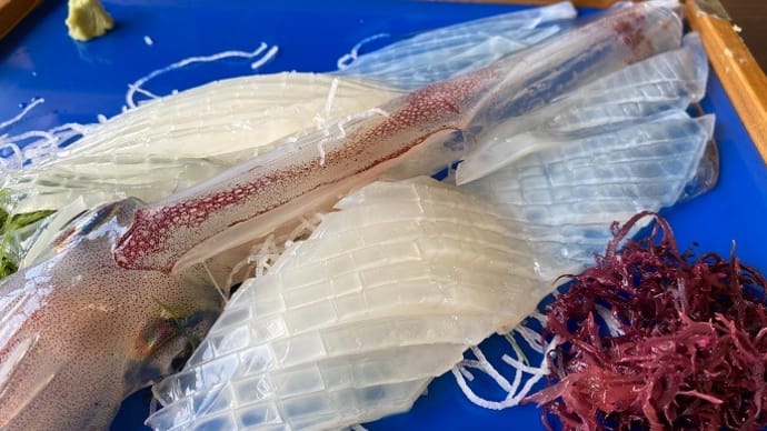 呼子 お食事処 玄海