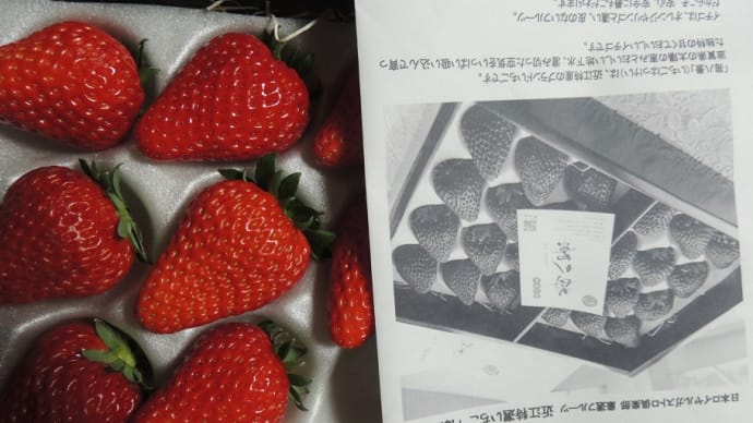 イチゴ