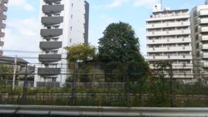 今日は・・・・