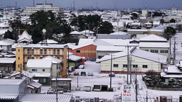 大雪警報が出ている米子市内 2月8日 動画もあります