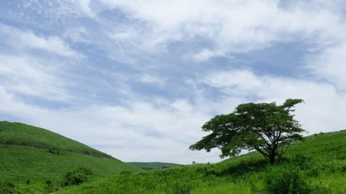 晴れて秋吉台