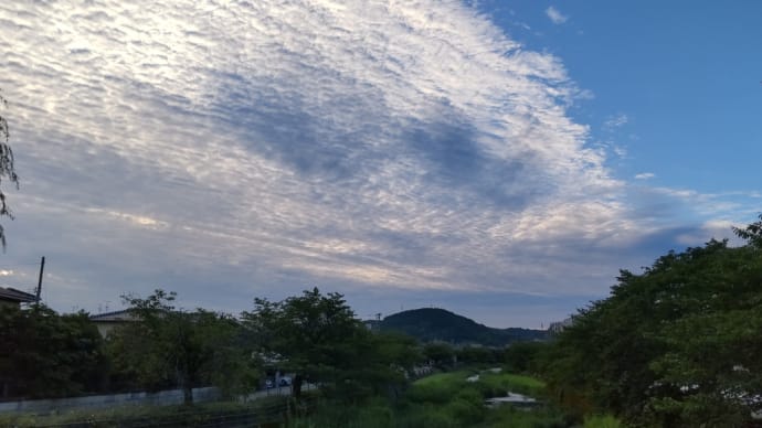 心を聴くということ