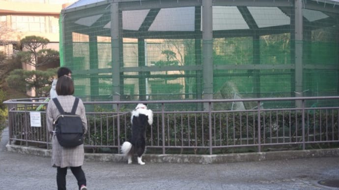 3人で