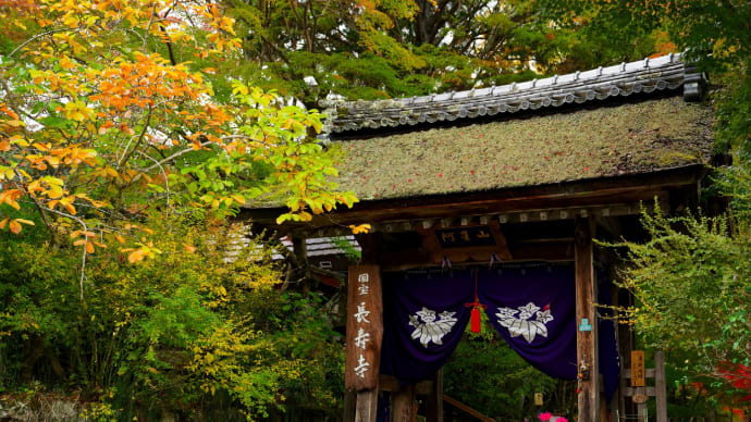 湖南三山 長寿寺の紅葉その2