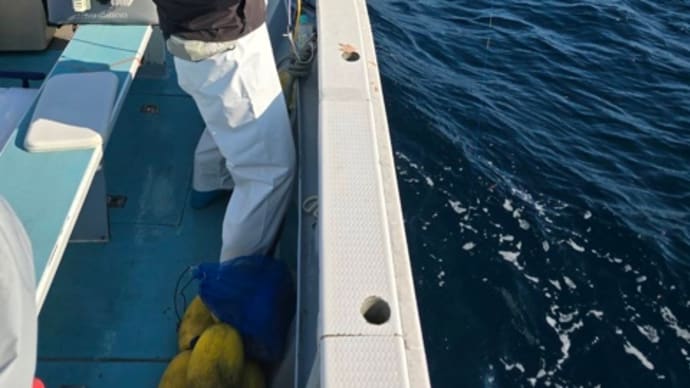 マグロ狙い