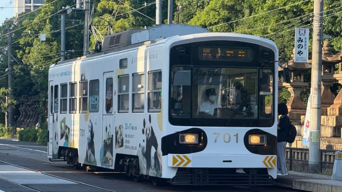 パンダ電車