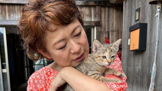 京子さんちで、湧いて出てきた子猫