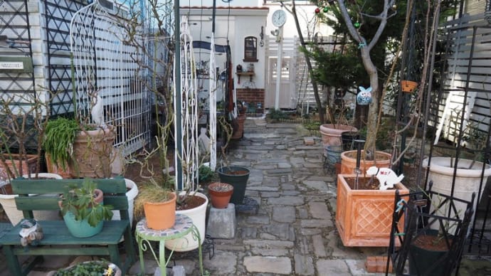 1月31日の庭アレコレ<馬ふん堆肥効果>