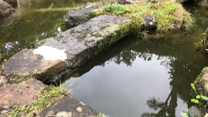一泊二日で霧島・・・初日