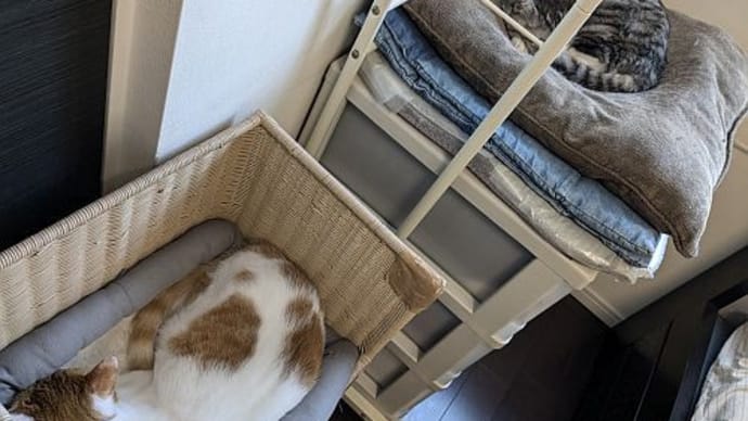10月のいろいろなこと