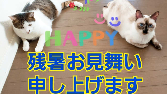 今日のワンコたち