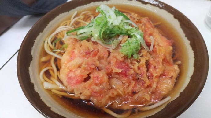 |M2099|立ち食い店のインプレッション:王子駅中央口ガード下『仮称:王子の駅そば』にお邪魔。桜エビ天そばがとてもおいしかったです!