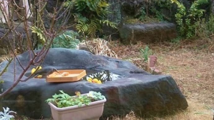 恵方巻き食べましたか?