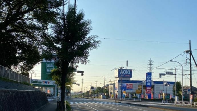 数か月ぶりに散歩 / パソコンはまだ・・・