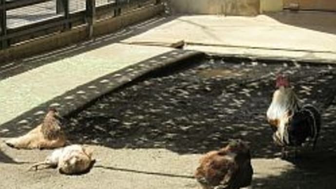 日差しのある日の・・・