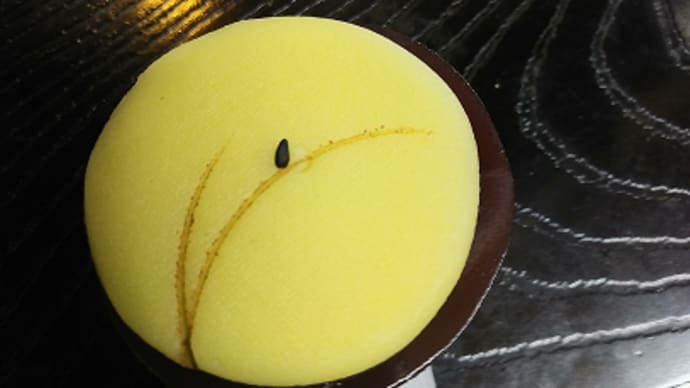 秋の上生菓子2種追加しました