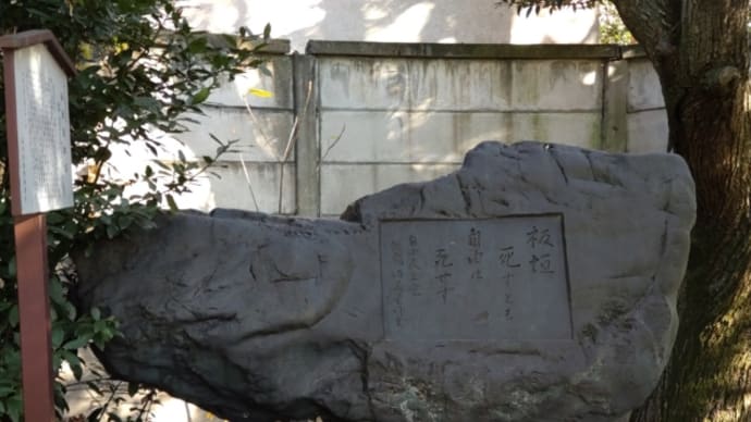 季節はずれの有名人のお墓参りへ行く、妖怪おばば猫