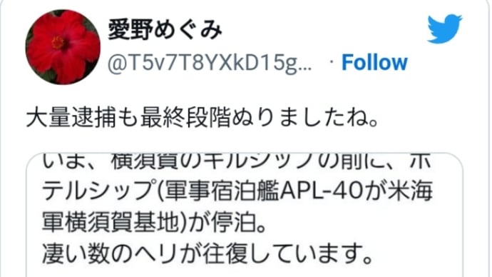 日本のディープステートの大量逮捕も最終段階に!横須賀にホテルシップ(軍事宿泊艦APL-40が米海軍横須賀基地)が停泊!=収監船?凄い数のヘリが往復!トランプ大統領…すぐに完了する!
