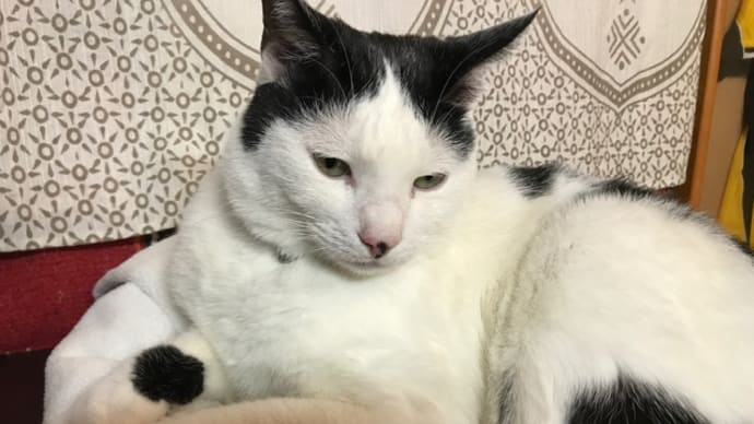 忘れ物