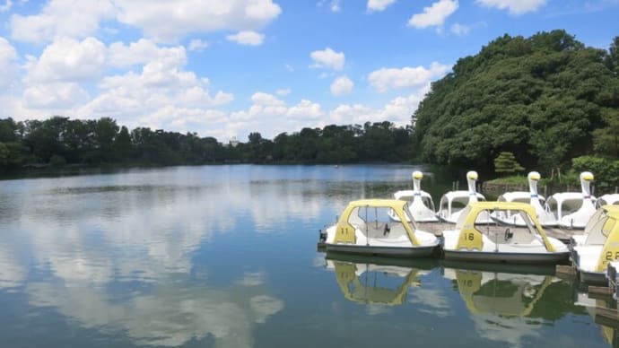 ぶら散歩~洗足池公園