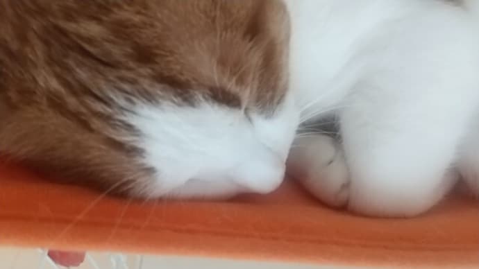 アイツのテーマ