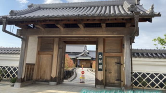 玉林園本店 お茶 茶道具店