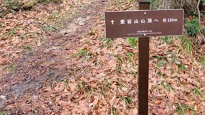 クルマバハグマ