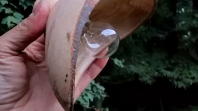 ボウルとランプ