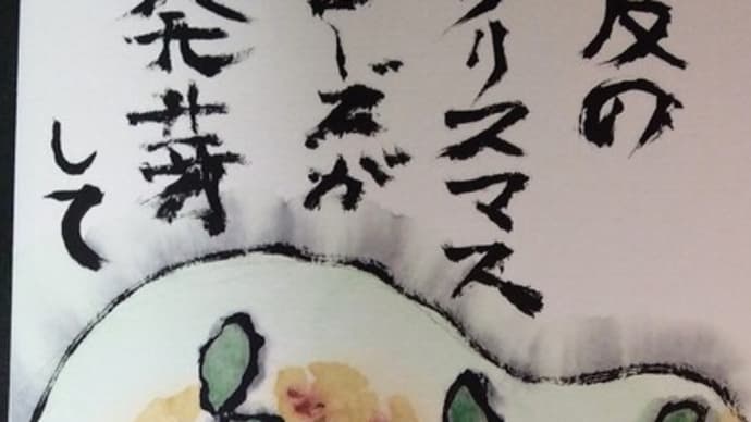 クリスマスローズが発芽した。
