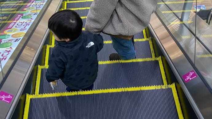 山に行くのをやめて