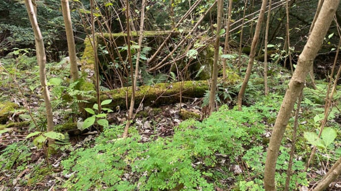 高野鉱山 Fe