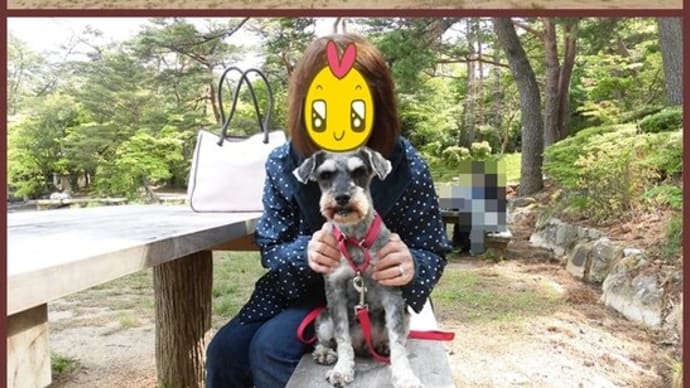🏞 再度公園 ともだちのいぬ 🐕