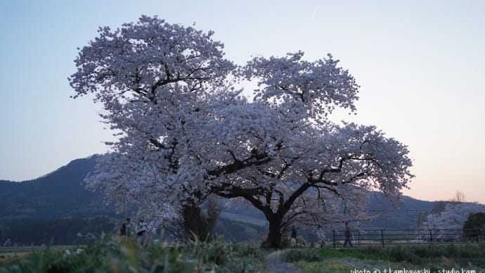 写真#241
