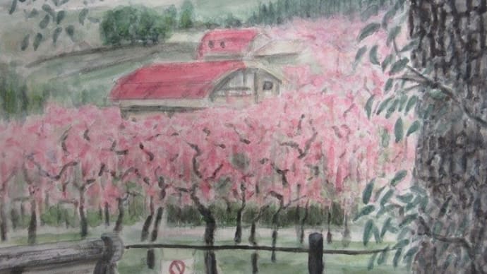 楽描き水彩画「名古屋市農業センターのしだれ梅園」