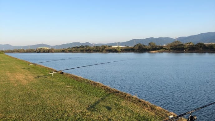 9月21日の鯉釣り