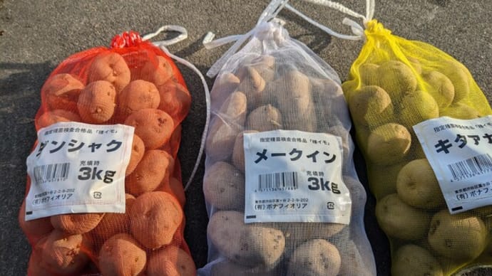 種いも確保にホッ〜!