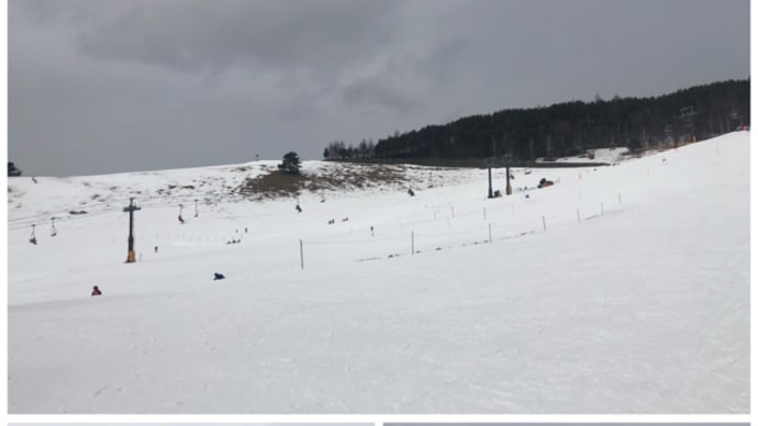 雪舞う?!