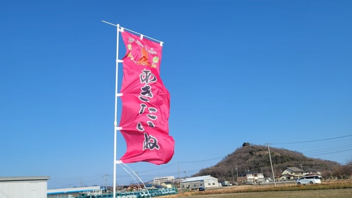 天高く🚩